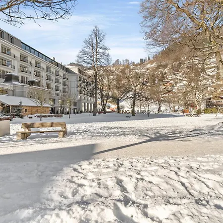 Zentrales Mit Mega Bergblick, Titlis, Luzern, Lake, Kurpark Daire